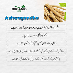 Max Thick powder || Mardana Manni Ko Garha kry Aur Timing Or Takat Main Bepanah Izafa.