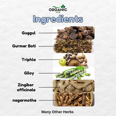 Slim Ease Powder For Weight Loss & Fat Burn