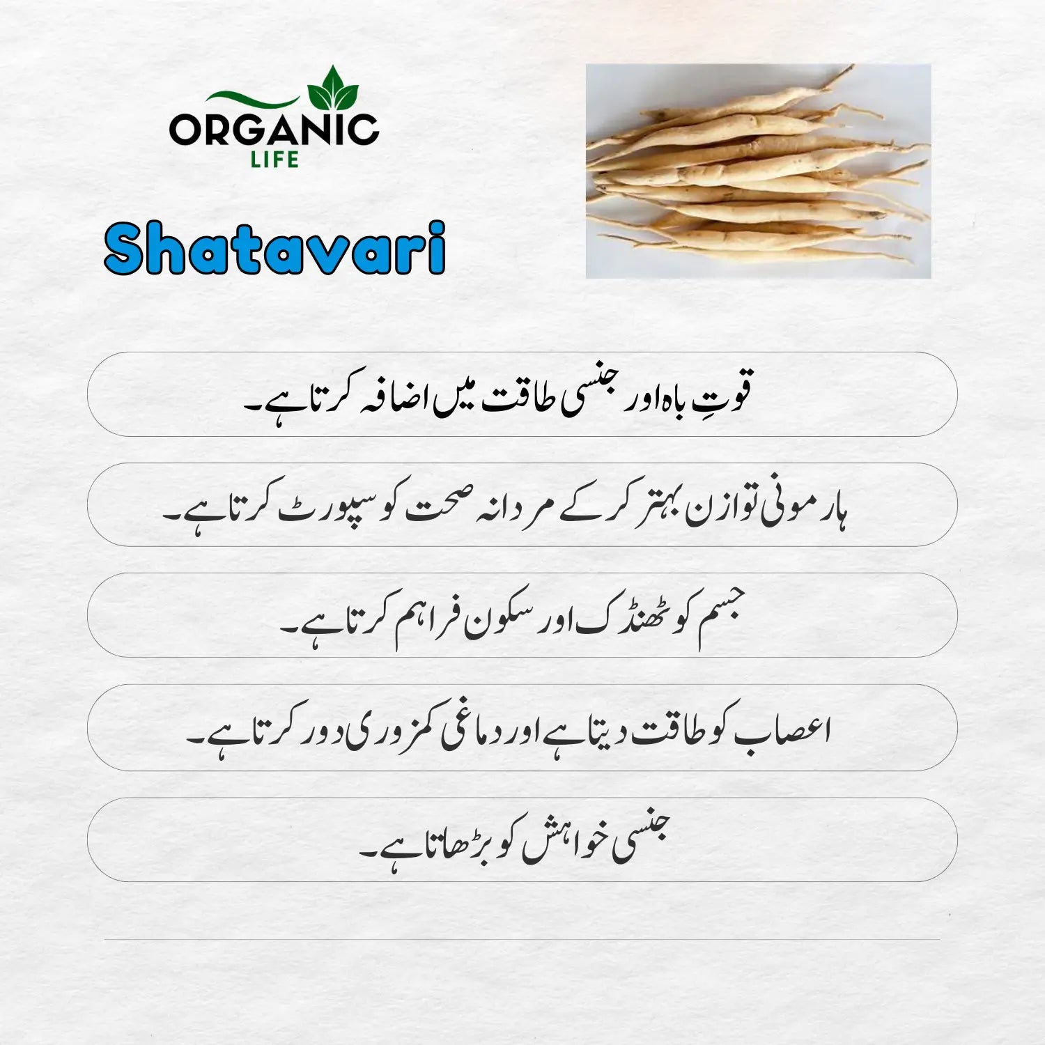 Max Thick powder for Sperm Thickness, Quality, Erection & Best Timing