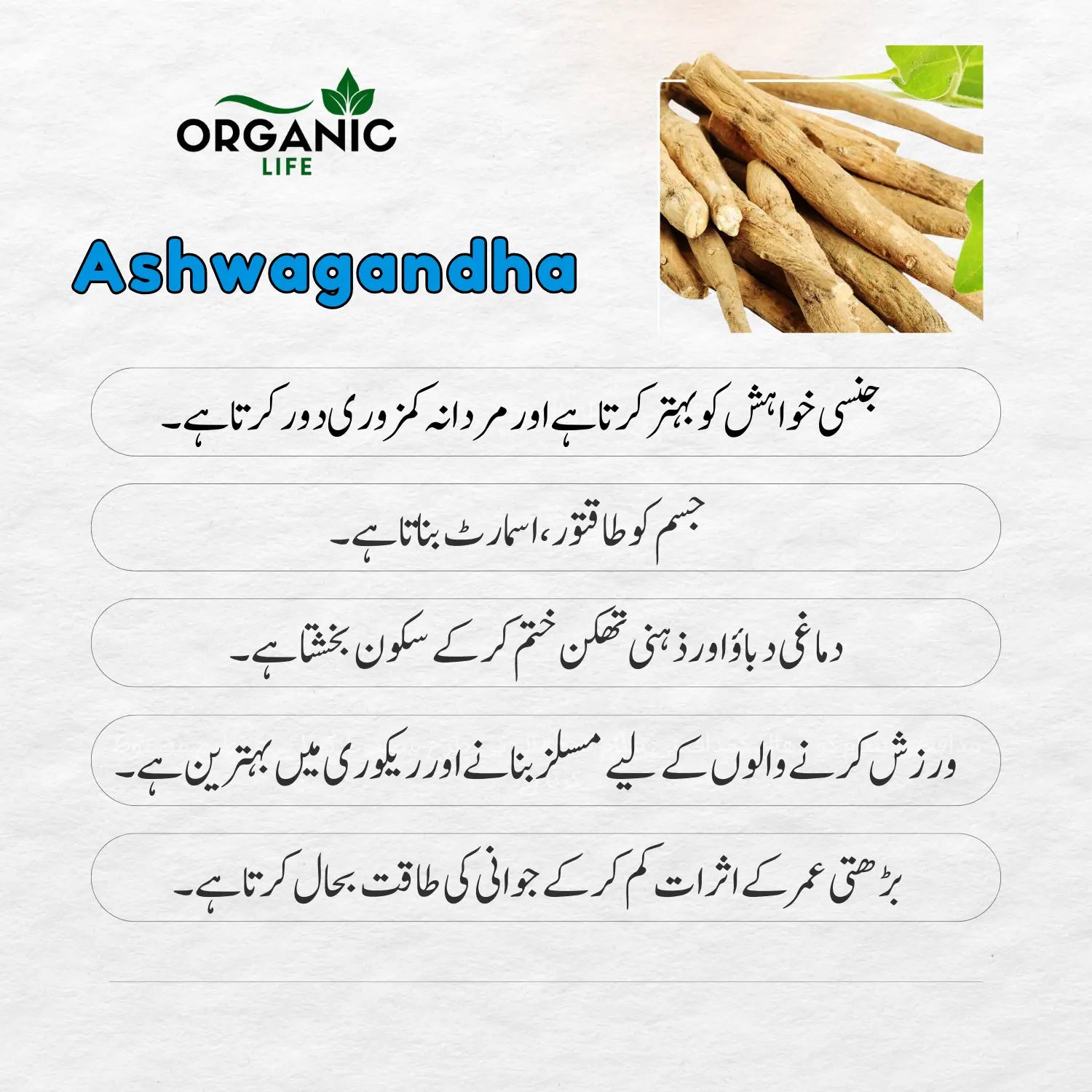 Max Thick powder for Sperm Thickness, Quality, Erection & Best Timing