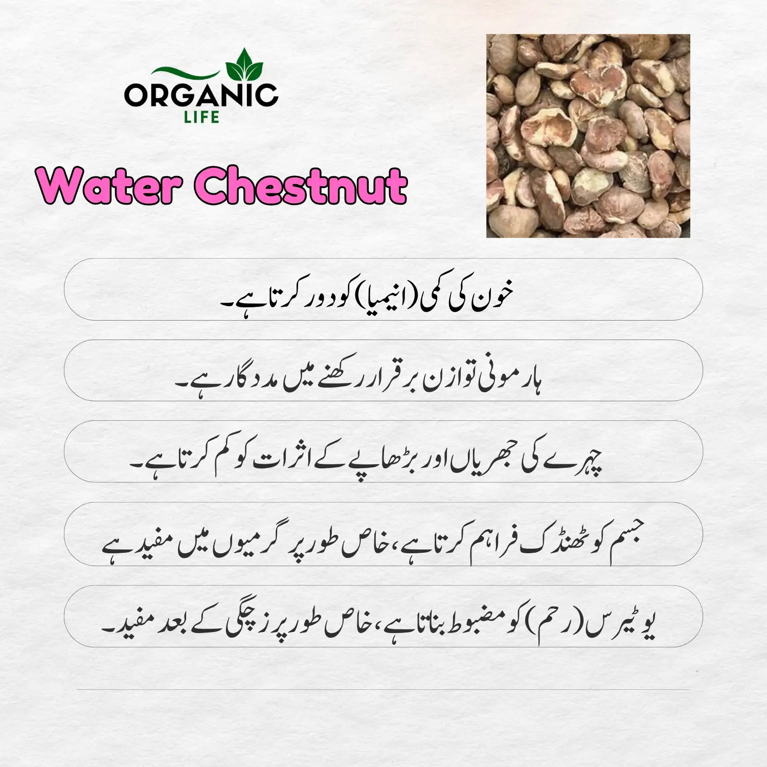 FemMax Herbal Powder For Female Power & Healthy Body